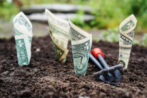 Free Money Grow photo and picture